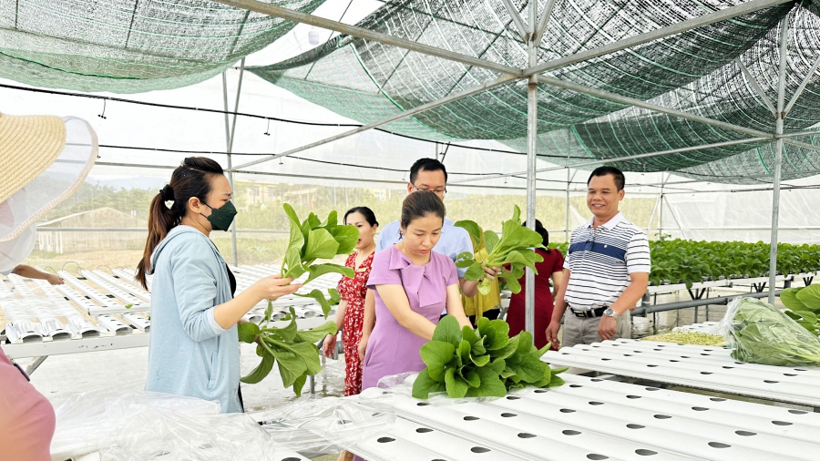 Công ty Cổ phần Thủy điện Đakđrinh, Quan tâm chăm lo đời sống Công đoàn viên  từ những việc làm có ý nghĩa thiết thực