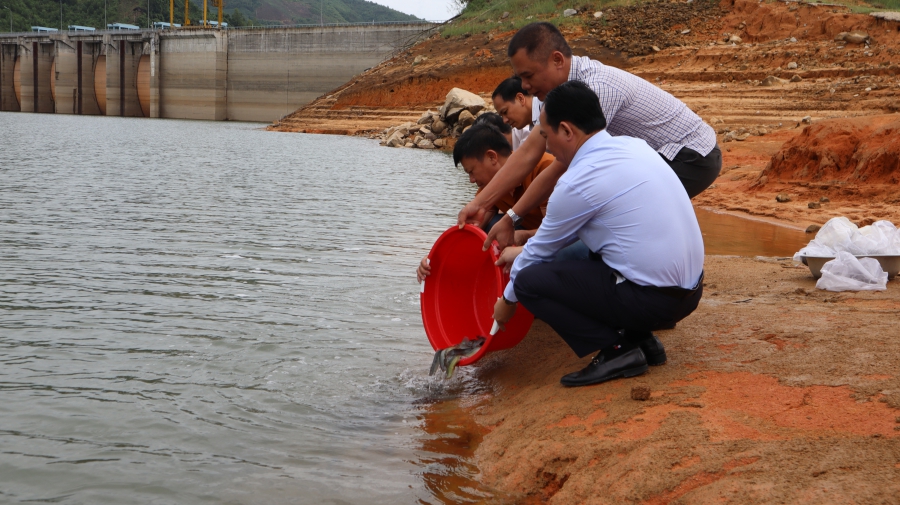 Gieo mầm sự sống - Thả cá phóng sinh